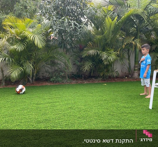 דשא סינתטי עם צמחים ירוקים מסביב